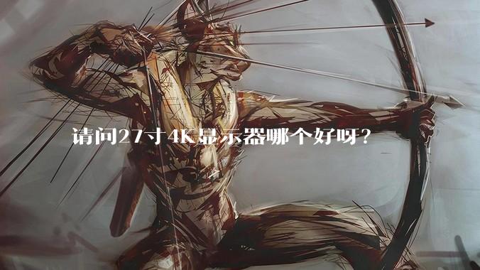 请问27寸4K显示器哪个好呀？