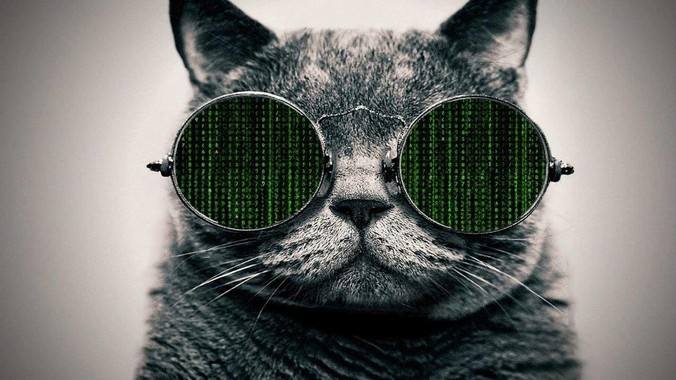 2029年中国能载人登上月球吗？